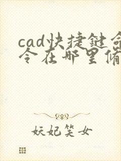 cad快捷键命令在哪里修改