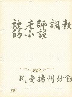 被老师调教玩弄的小说