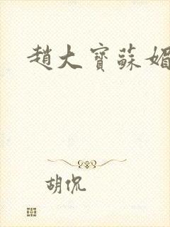 赵大宝苏媚儿媳
