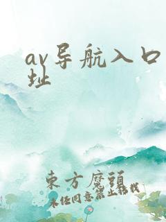av导航入口网址