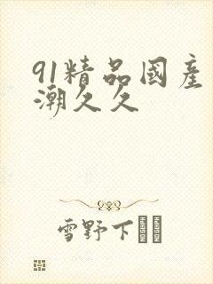 91精品国产高潮久久
