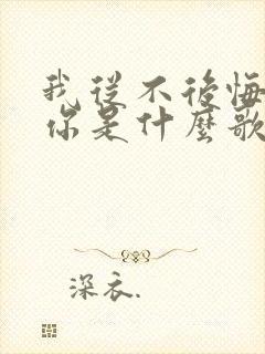 我从不后悔遇见你是什么歌