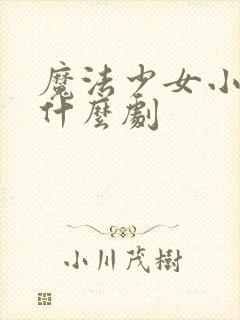 魔法少女小圆是什么剧