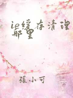 ie缓存清理在哪里