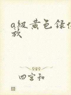 a级黄色录像播放