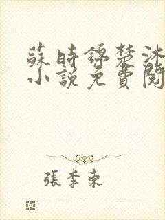 苏时锦楚沐尘的小说免费阅读最新章节