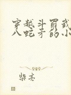 穿越斗罗武魂丈八蛇矛的小说