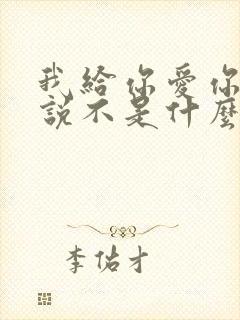 我给你爱你总是说不是什么歌