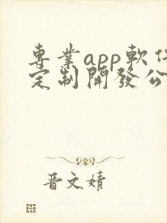 专业app软件定制开发公司