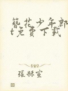 簪花少年郎txt免费下载