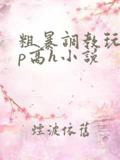 粗暴调教玩弄np高h小说