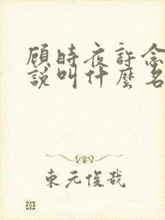 顾时夜许念初小说叫什么名字