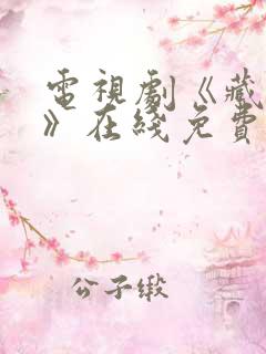 电视剧《藏海传》在线免费