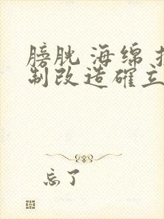 膀胱 海绵 控制改造确立m