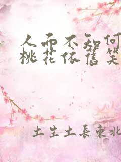 人面不知何处去桃花依旧笑春风的意思