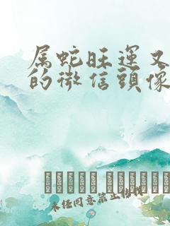 属蛇旺运又旺财的微信头像