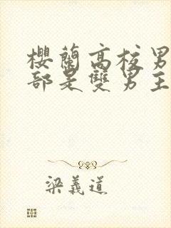 樱兰高校男公关部是双男主吗