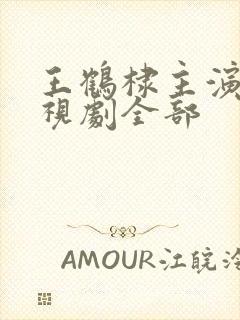 王鹤棣主演的电视剧全部