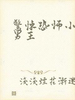 惊悚恐怖小说双男主