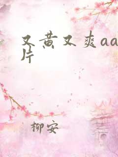 又黄又爽aaa片