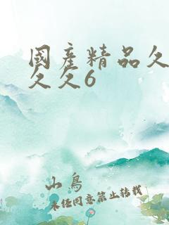 国产精品久久久久久6