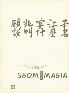 顾兆宴江子柔小说叫什么名字