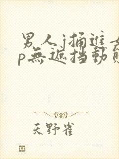 男人j捅进女人p无遮挡动态图