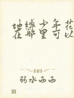 地缚少年花子君在哪里可以看