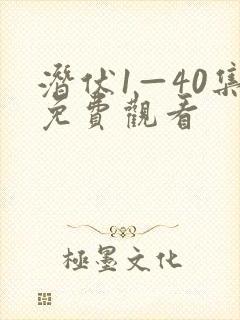 潜伏1—40集免费观看