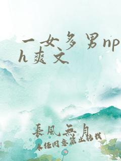 一女多男np高h爽文