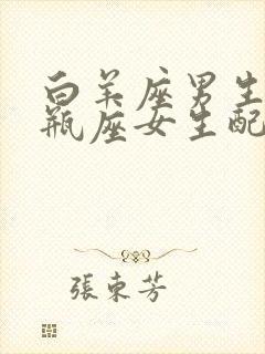 白羊座男生和水瓶座女生配对指数