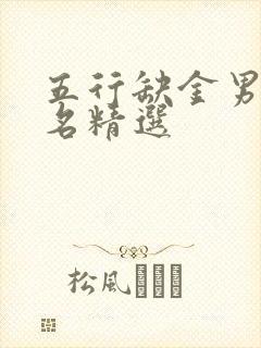 五行缺金男孩取名精选