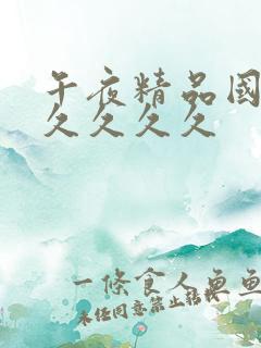 午夜精品国产久久久久久