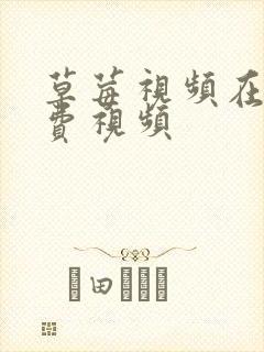 草莓视频在线免费视频