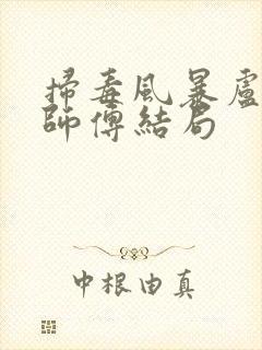 扫毒风暴卢少骅师傅结局