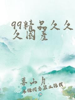 99精品久久久久国产