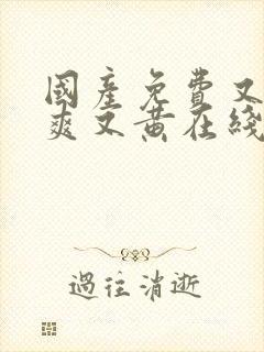 国产免费又色又爽又黄在线观看