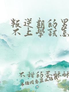 叛逆期的男孩子不上学该怎样去沟通教育