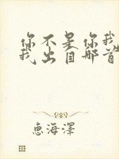 你不是你我不是我出自哪首歌