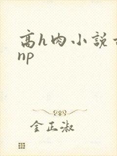 高h肉小说古言np