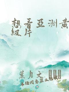 想看亚洲黄色一级片