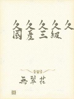 久久久久久精品国产三级