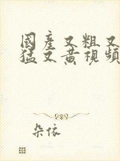 国产又粗又爽又猛又黄视频