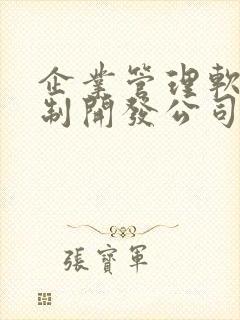 企业管理软件定制开发公司