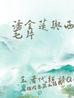 潘金莲与西门庆毛片