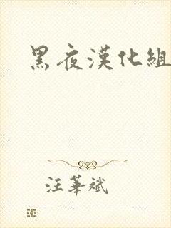 黑夜汉化组