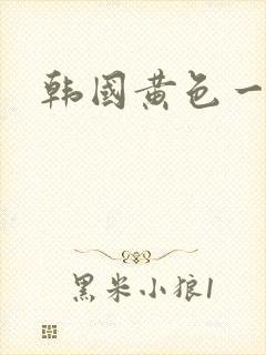 韩国黄色一级片