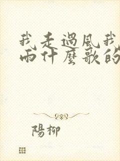 我走过风我走过雨什么歌的歌词