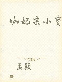 咖妃宋小宝台词