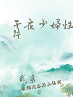 午夜少妇性色淫片